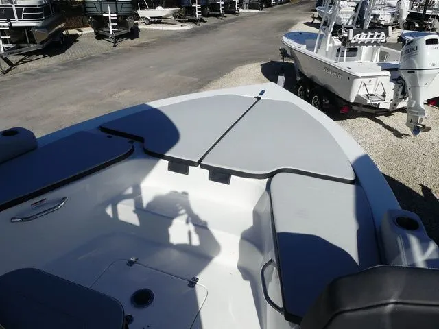 Slide: The Image of Sea Pro 250 DLX 2026 - 16