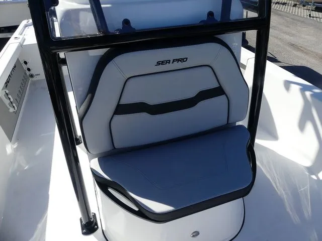 Slide: The Image of Sea Pro 250 DLX 2026 - 17