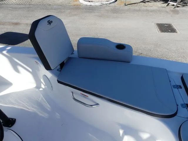 Slide: The Image of Sea Pro 250 DLX 2026 - 19