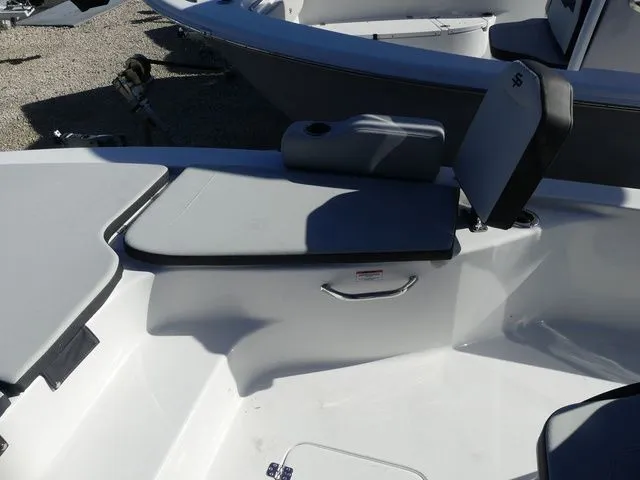 Slide: The Image of Sea Pro 250 DLX 2026 - 20