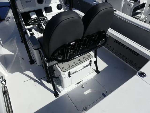 Slide: The Image of Sea Pro 250 DLX 2026 - 22