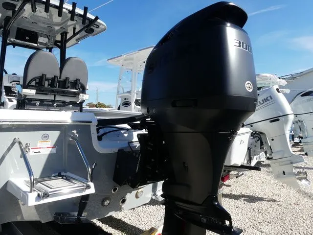 Slide: The Image of Sea Pro 250 DLX 2026 - 4