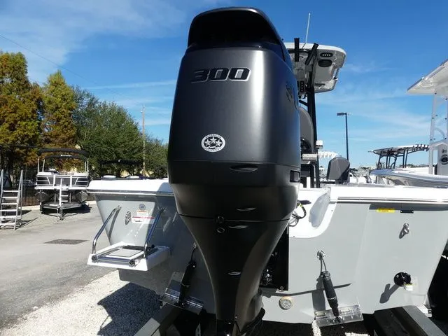 Slide: The Image of Sea Pro 250 DLX 2026 - 5