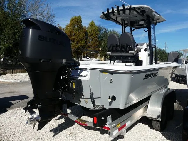 Slide: The Image of Sea Pro 250 DLX 2026 - 6