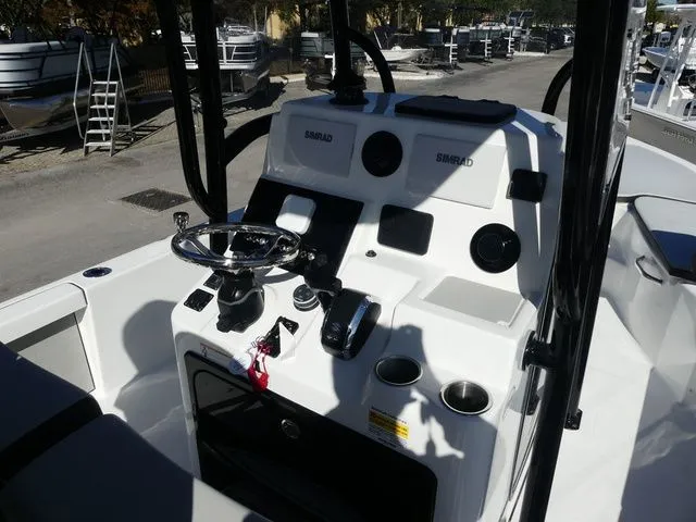 Slide: The Image of Sea Pro 250 DLX 2026 - 7