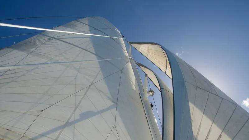 Slide: The Image of Privilege 745 2010 - 65