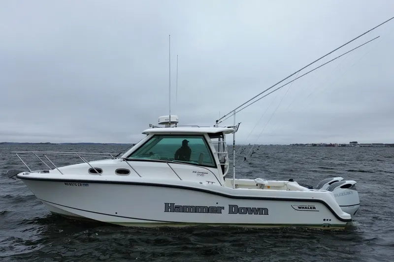 Slide: The Image of 2016 Boston Whaler 315 Conquest boat on water, overcast sky, side view. - 2