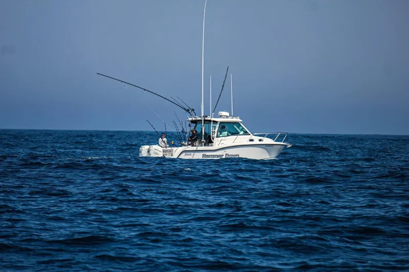 Slide: The Image of 2016 Boston Whaler 315 Conquest fishing boat on open sea with fishing rods. - 37