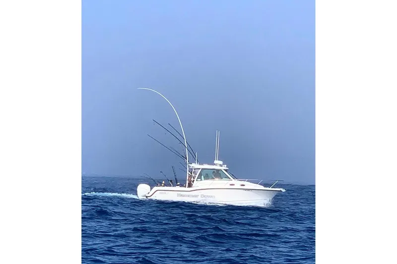 Slide: The Image of 2016 Boston Whaler 315 Conquest cruising on open sea under clear blue sky. - 38