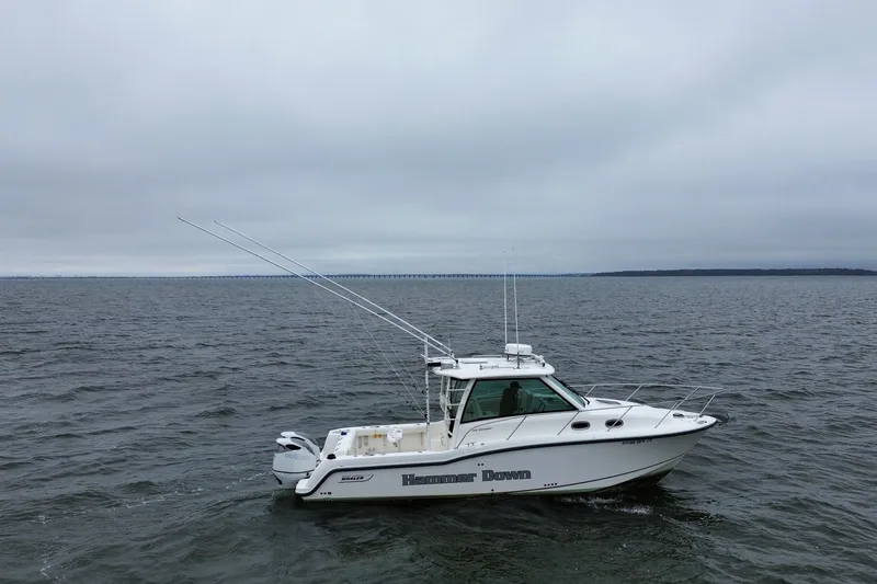 Slide: The Image of 2016 Boston Whaler 315 Conquest boat on open water under cloudy skies. - 7
