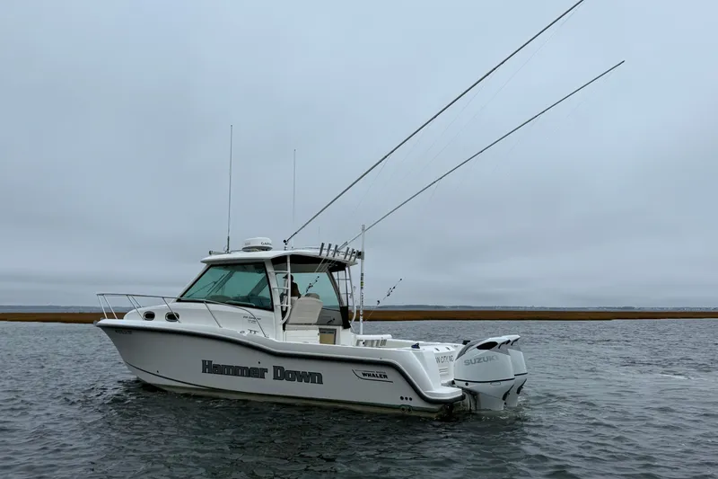 Slide: The Image of 2016 Boston Whaler 315 Conquest boat on water, overcast sky, fishing rods visible. - 8