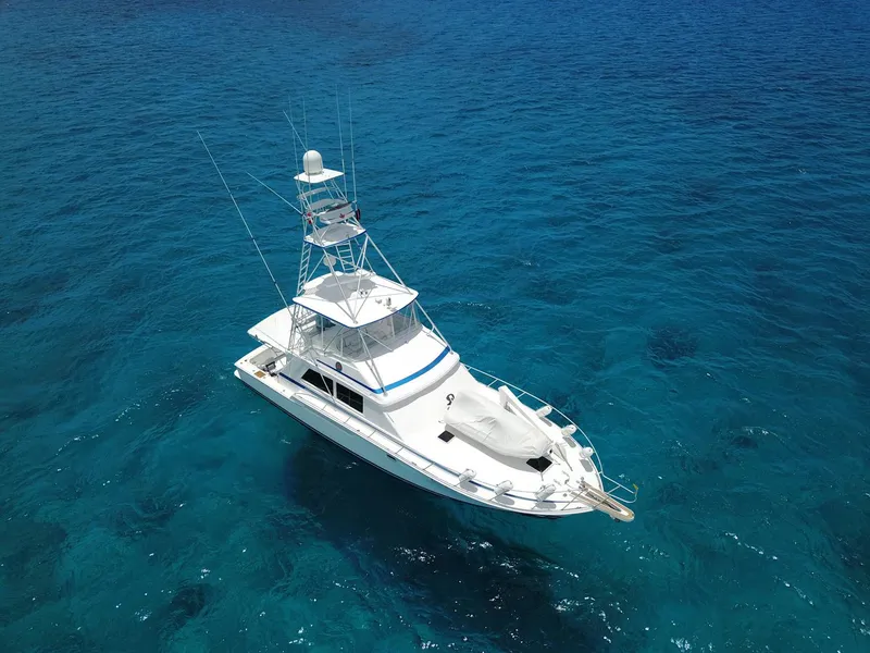 Slide: The Image of 1981 Bertram Convertible boat on clear blue ocean water. - 2