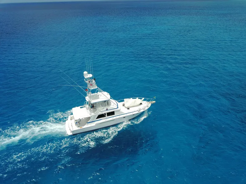 Slide: The Image of 1981 Bertram Convertible yacht cruising on clear blue ocean waters. - 5