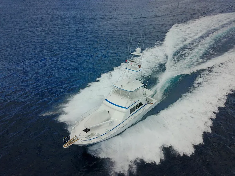 Slide: The Image of 1981 Bertram Convertible yacht cruising on open water. - 8