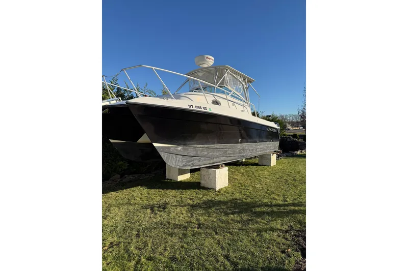 The Image of 2005 Glacier Bay 2670 Island Runner boat on grass, clear sky background. - 1
