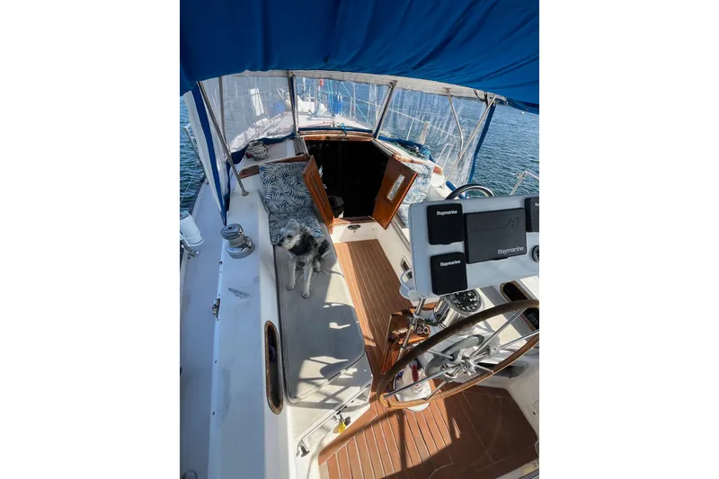 Slide: The Image of 1986 Catalina 36 MK1 sailboat cockpit with dog, under blue canopy, on calm water. - 5