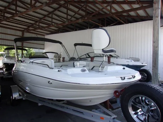 The Image of Stingray 192 SC 2024 - 1