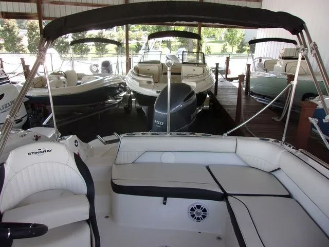 Slide: The Image of Stingray 192 SC 2024 - 5