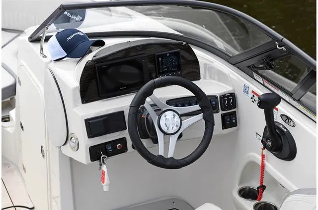 Slide: The Image of Stingray 231 DC 2023 - 8