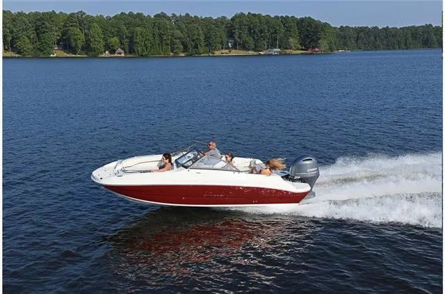 Slide: The Image of Stingray 201 DC 2024 - 16