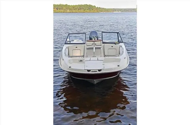 Slide: The Image of Stingray 201 DC 2024 - 19