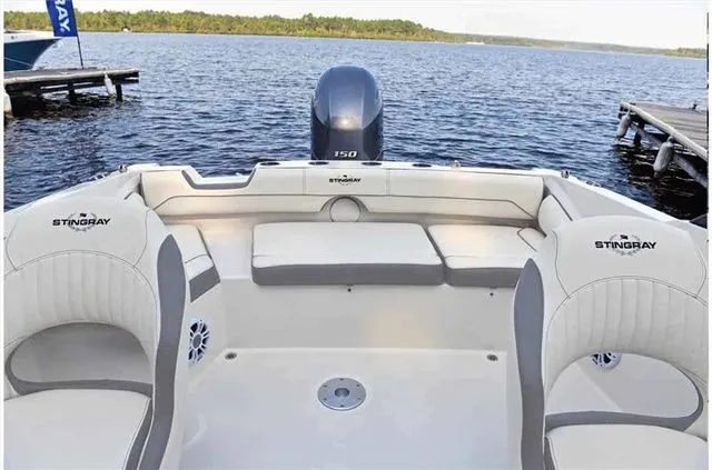 Slide: The Image of Stingray 201 DC 2024 - 22