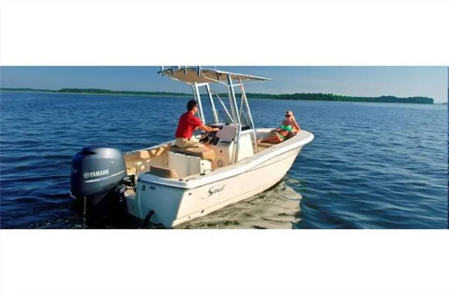 Slide: The Image of Scout 195 Sportfish 2024 - 16