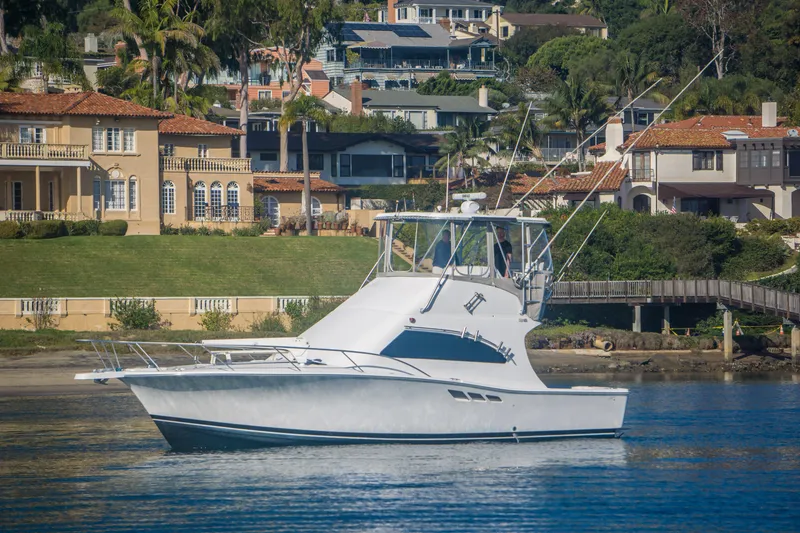 The Image of 2002 Luhrs 36 Convertible yacht cruising near waterfront homes. - 0