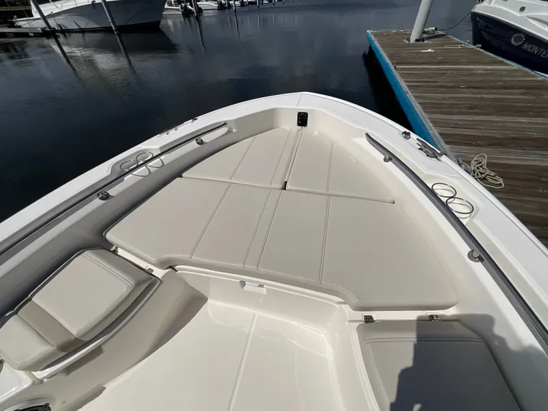 Slide: The Image of Boston Whaler 250 Dauntless 2026 - 13