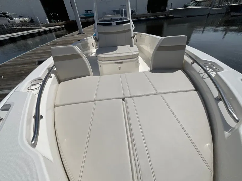 Slide: The Image of Boston Whaler 250 Dauntless 2026 - 17