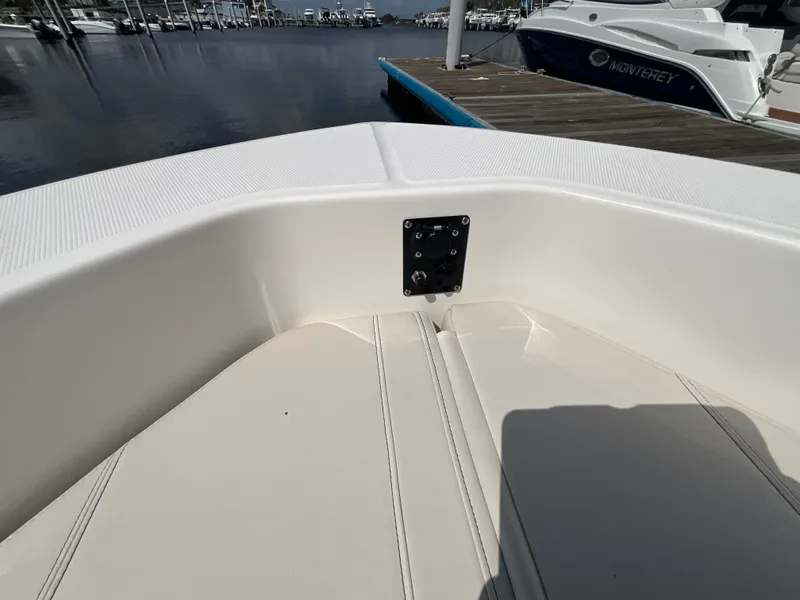 Slide: The Image of Boston Whaler 250 Dauntless 2026 - 18