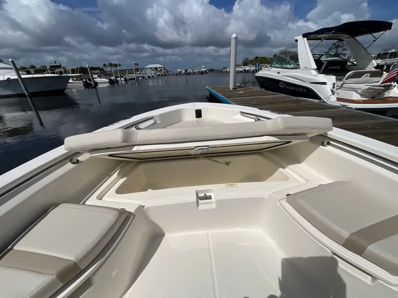 Slide: The Image of Boston Whaler 250 Dauntless 2026 - 24