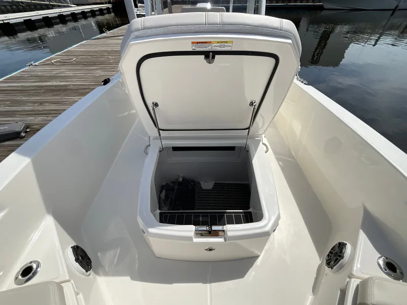 Slide: The Image of Boston Whaler 250 Dauntless 2026 - 26