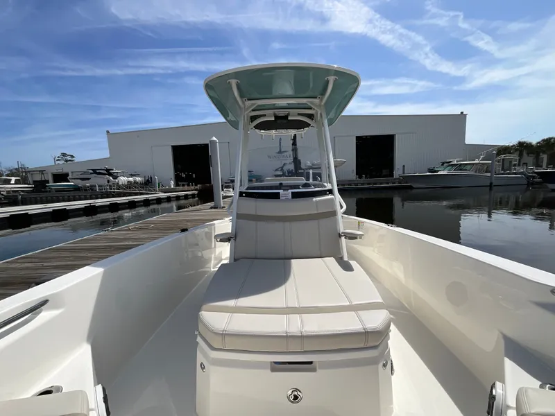 Slide: The Image of Boston Whaler 250 Dauntless 2026 - 6