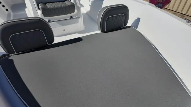 Slide: The Image of ALK2 22CRS 2026 - 11