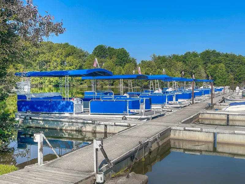 The Image of Pontoon rental fleet docked on a sunny day, surrounded by lush greenery. - 1