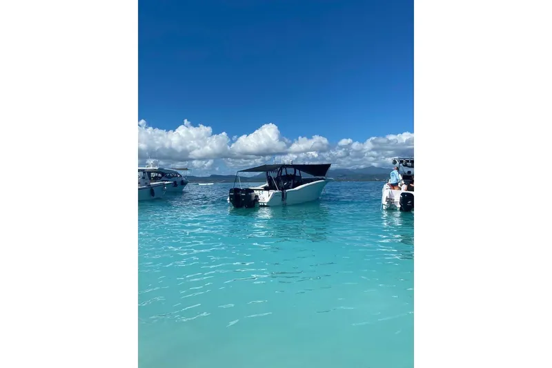 Slide: The Image of 2020 Tidewater 320 CC Adventure boat on clear blue water under a sunny sky. - 3