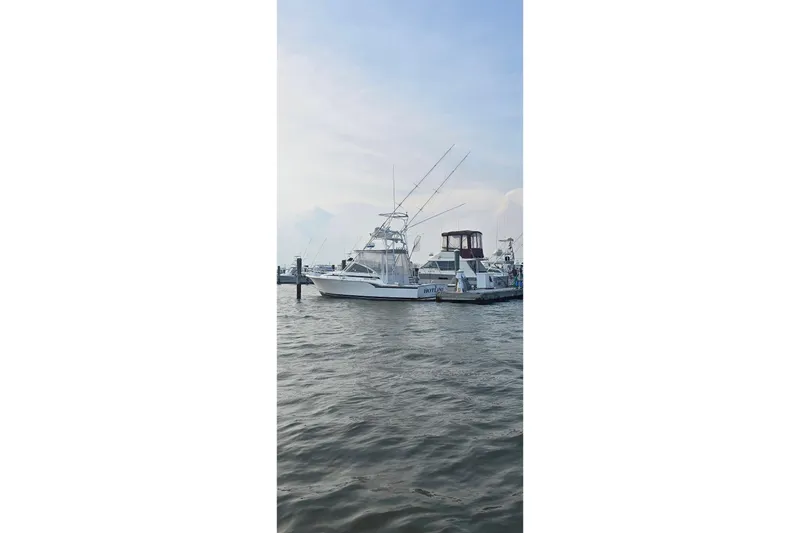 Slide: The Image of 1995 Blackfin 31 Combi boat docked on calm water under a clear sky. - 18