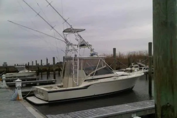 Slide: The Image of 1995 Blackfin 31 Combi boat docked at a marina, featuring a tower and fishing rods. - 3