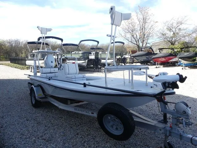 Slide: The Image of Beavertail Mosquito 2022 - 9