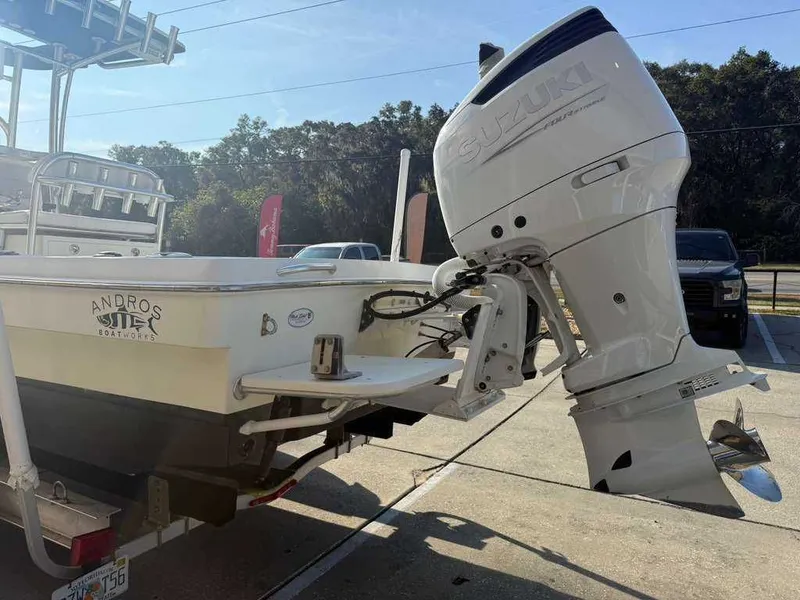 Slide: The Image of Andros Tarpon 26 2012 - 11