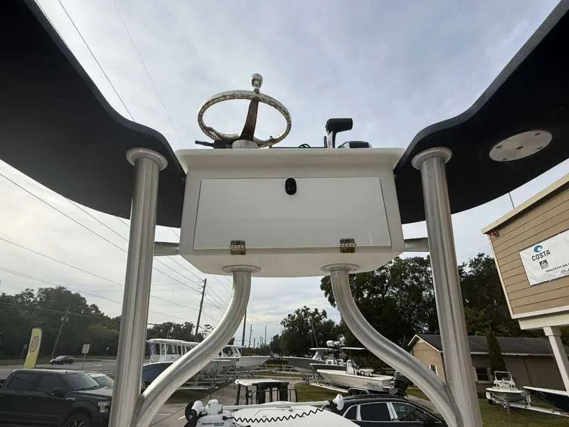 Slide: The Image of Andros Tarpon 26 2012 - 4