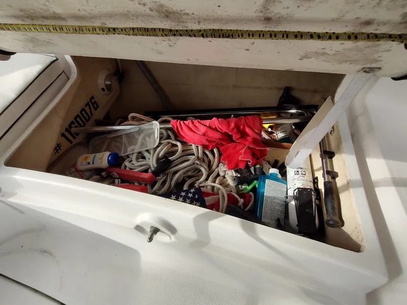 Slide: The Image of Hunter 33 2004 - 36