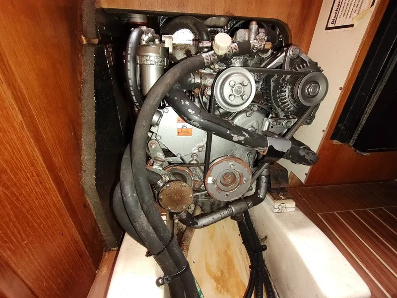 Slide: The Image of Hunter 33 2004 - 83