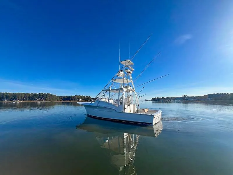 The Image of 1998 Jersey Cape 36 Express boat on calm water. - 0