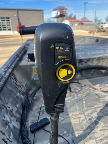 Slide: The Image of War Eagle 16LDV 2024 - 5