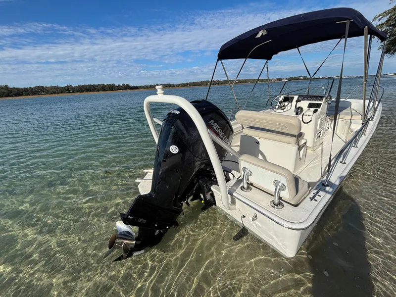 Slide: The Image of Boston Whaler 170 Montauk 2021 - 28