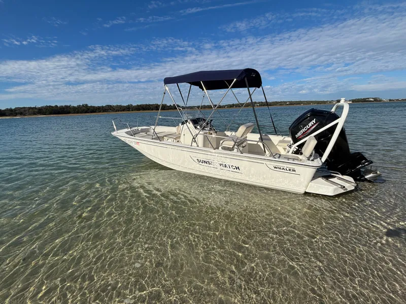 Slide: The Image of Boston Whaler 170 Montauk 2021 - 32