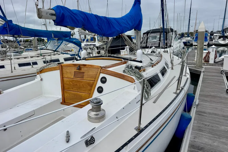 Slide: The Image of 1986 Catalina 36 sailboat docked in marina, featuring blue sail cover and wooden hatch. - 3