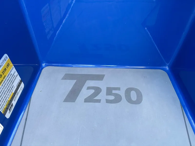 Slide: The Image of Axis T250 2023 - 33